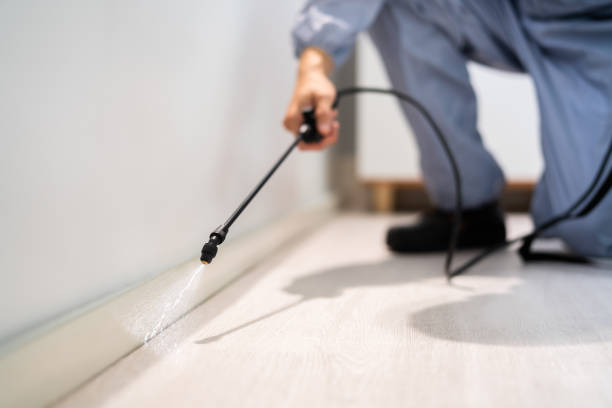 Certified termite inspector examining foundation in Liberty Hill