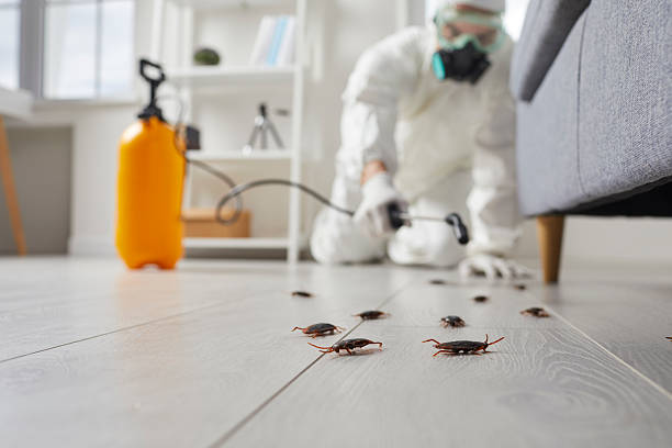 Commercial Kitchen Cockroach Control in Liberty Hill