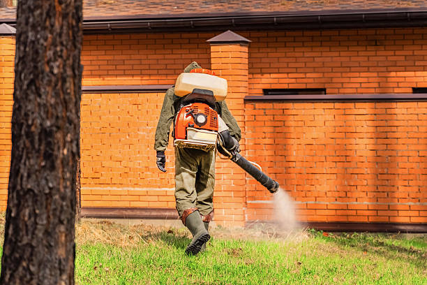 Cockroach Follow-Up and Monitoring in Liberty Hill